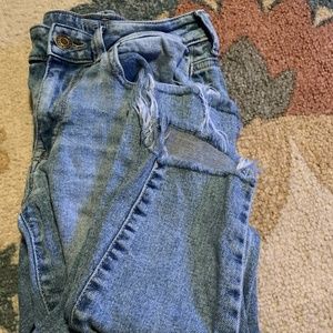 Vintage Light Wash Distressed Jegging